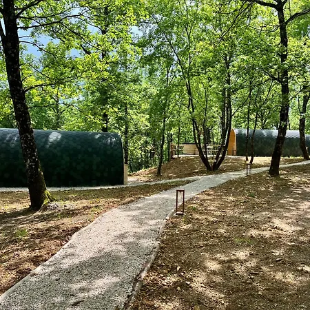 Campsite Pandaland *